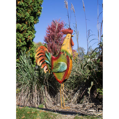 Coq