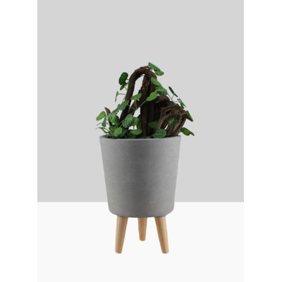 Adelinde Ceramic Pot Planter