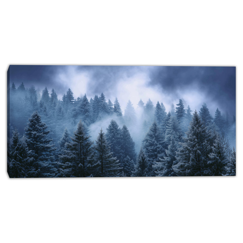 «Winter Mist Valley», art mural sur toile tendue, H 20 po x l 40 po