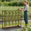 Cadre de support de treillis pour jardin d'extérieur pour légumes grimpants Cadre en bois de tomate canneberge avec 5 cages
