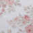 Lisalee rose