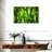 Harnek Backlit Green Leaves-107720141