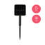 Normani 1.067cm LED Solar Powered 20 - Bulb String Light