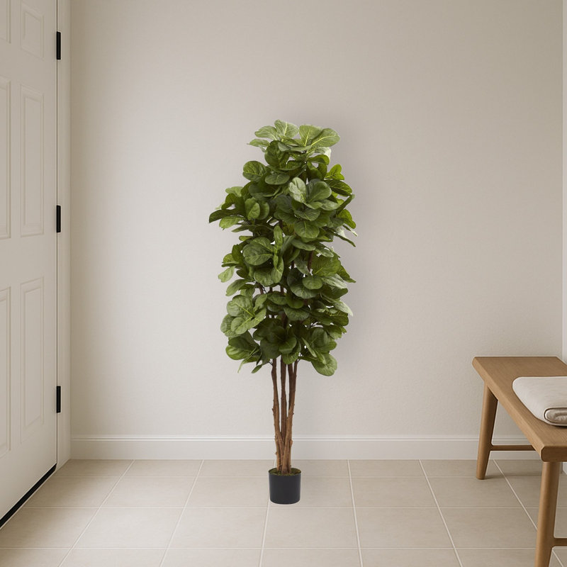 Fiddle Leaf Fig Artificial Tree, 72" H x 26" W x 26" D