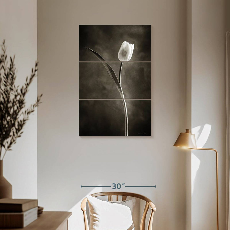 Tulipes Harnek deux tons I, H 50 po x l 32 po