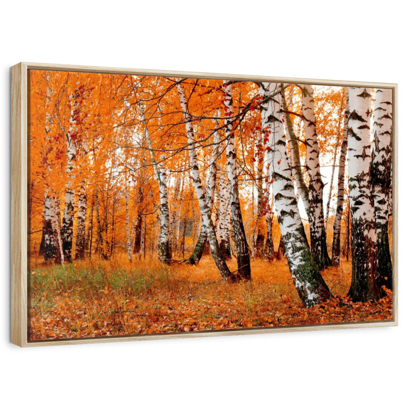 Forêt de bouleaux orange, 25 po x 17 po, Cadre flottant en bois naturel