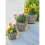 Pot à fleurs Ayriauna-324988337