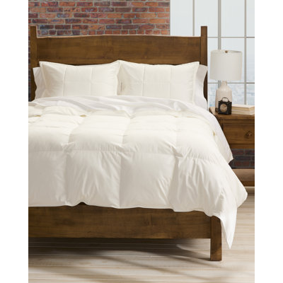 Cuddledown Chroma Down Alternative Comforter