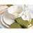 Contempo - 100% Pure Linen Dinner Napkins-110395227