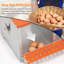 Boîte de nidification en métal - Support mural pour poules / canards, collection et assemblage facile d'œufs, équipement de cage en acier galvanisé ventilé - orange-513613339