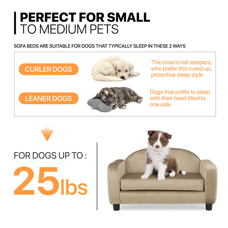 Light Brown Velvet Elevated Pet Sofa with Removable Cushion