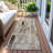 Machine Washable Indoor/Outdoor Claudian ACN1630 Taupe Rug-104235692