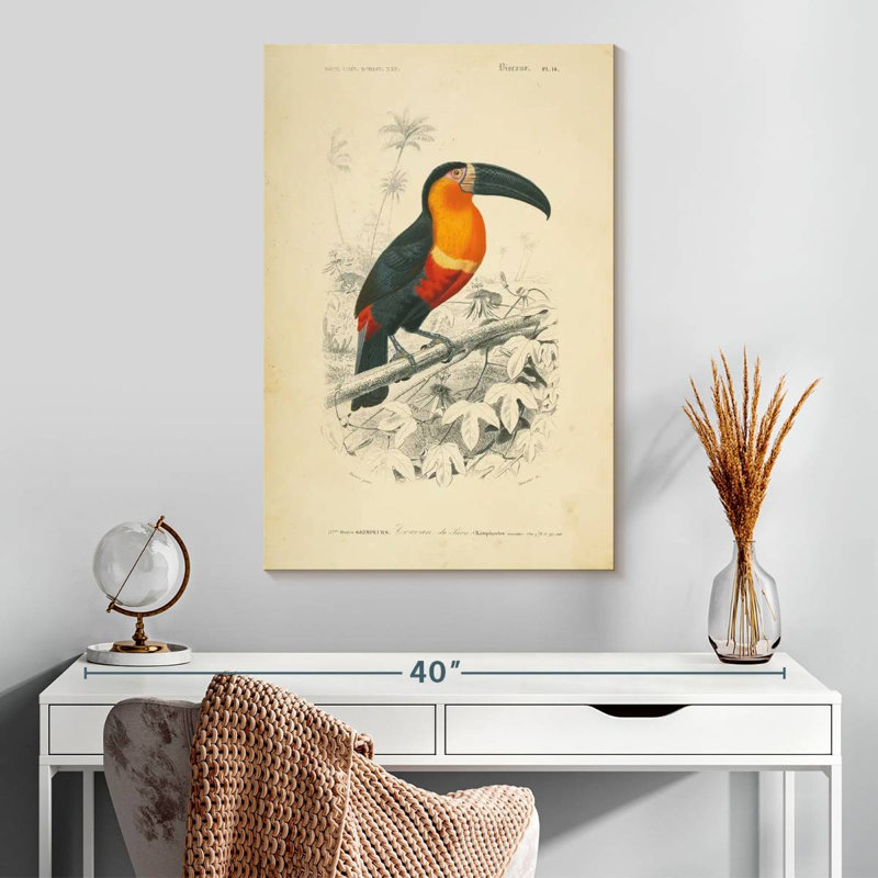 Brampt Toucan Du Para, 30" H x 20" W