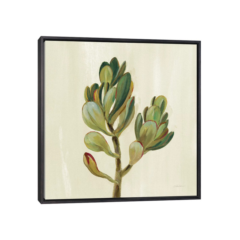 «Front Yard Succulent II» par Silvia Vassileva - reproduction d'art, Pas de tapis, H 26 po x l 26 po x P 1,5 po