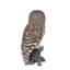 Polyresin Garden Statue-1408386491