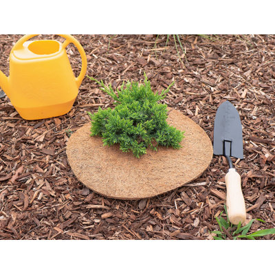 Urias Plant Cover