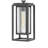 Medium Hanging Lantern-2137176477