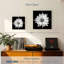 Harnek BW - marguerite blanche-109124883