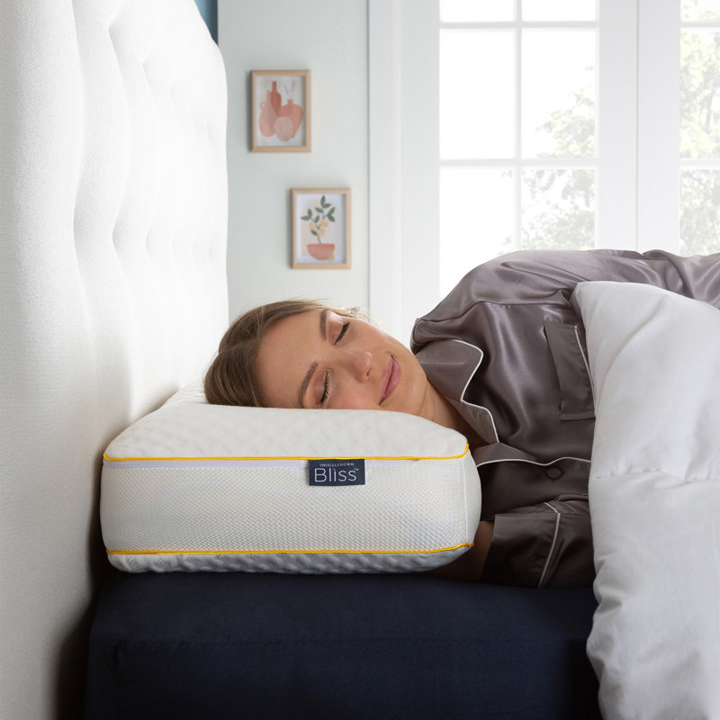 Snuggledown Blissful Breathable Memory Foam Zipped Cover Pillow Firm Support Side Sleeper 64x38cm