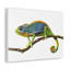 No Frame Print on Canvas-1058902475