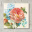  'June Abundance 1' by Danhui Nai Acrylic Glass Wall Art, 36" x 36"-962613369