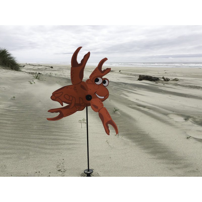 Crabe bébé tourbillon