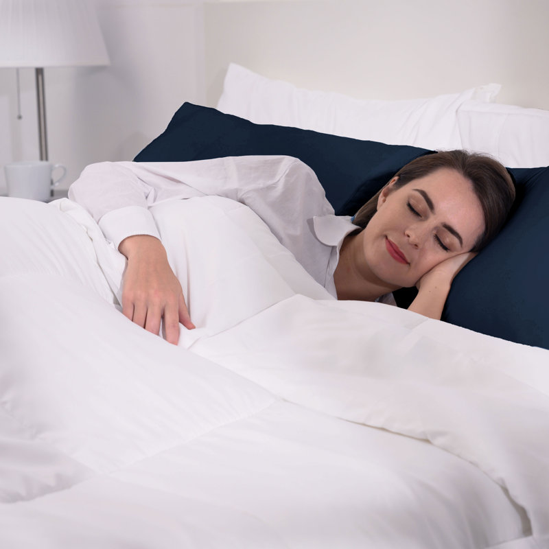 Taie d'oreiller en microfibre douce - Basics by Wayfair ™, Standard, Bleu marine
