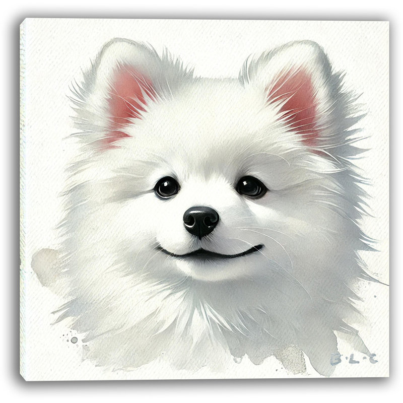"Fluffy White Spitz Puppy", reproduction d'art sur toile, H 20 po x l 30 po