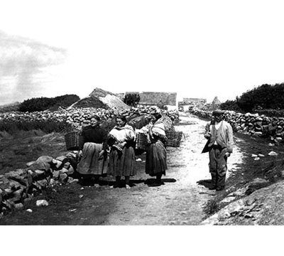 « connemara pelouse, irlande », reproduction de photo