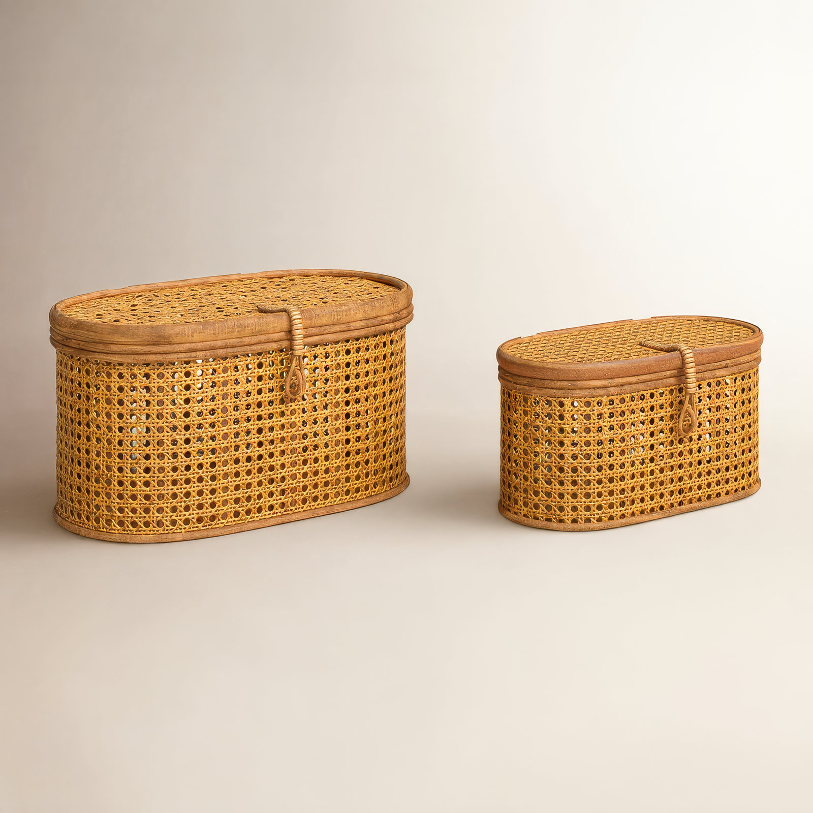 Edelie Coastal Rattan Decorative Basket - Set of 2, Natural