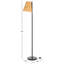 Vincente Cane and Iron Floor Lamp