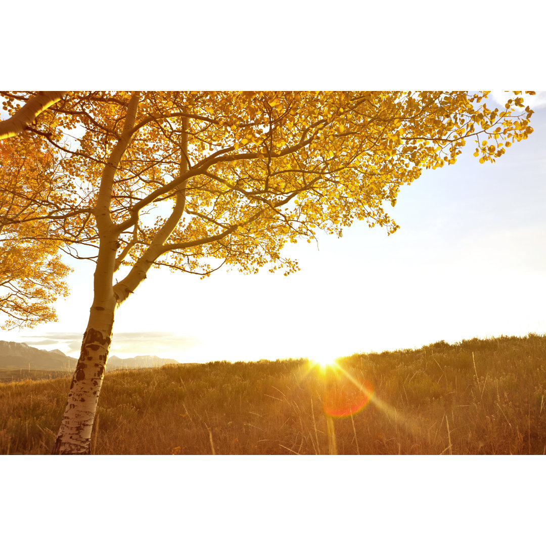 Herbstsonnenuntergang von DOUGBERRY - Leinwandbild