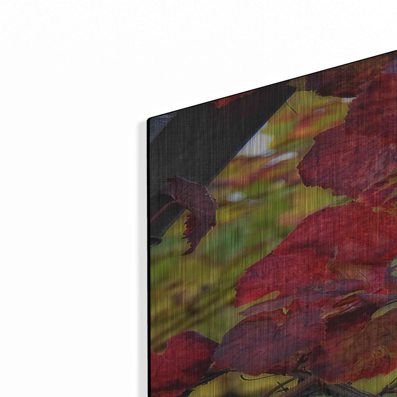 "Velvet Leaves" par Philippe Sainte