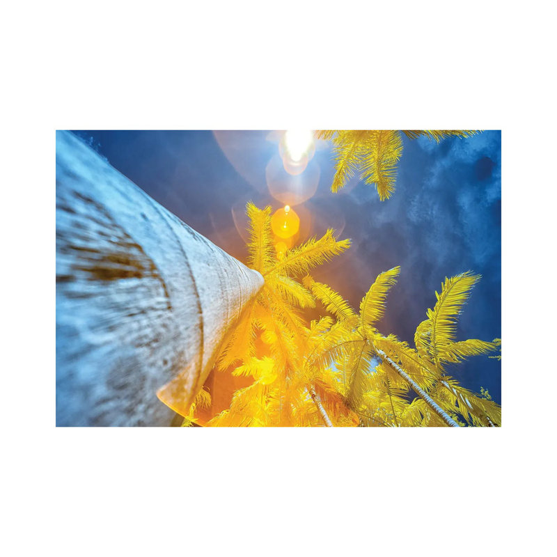 Palm Tree II