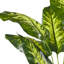 122cm Faux Dracaena Plant in Planter