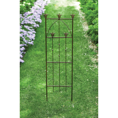 Hearthers Trellis 4 '