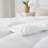 Heavyweight White Goose Down Feather Fiber Duvet Insert Winter Comforter-102672016-63919922