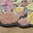 Jaquasia Floral Indoor Rug-92289386