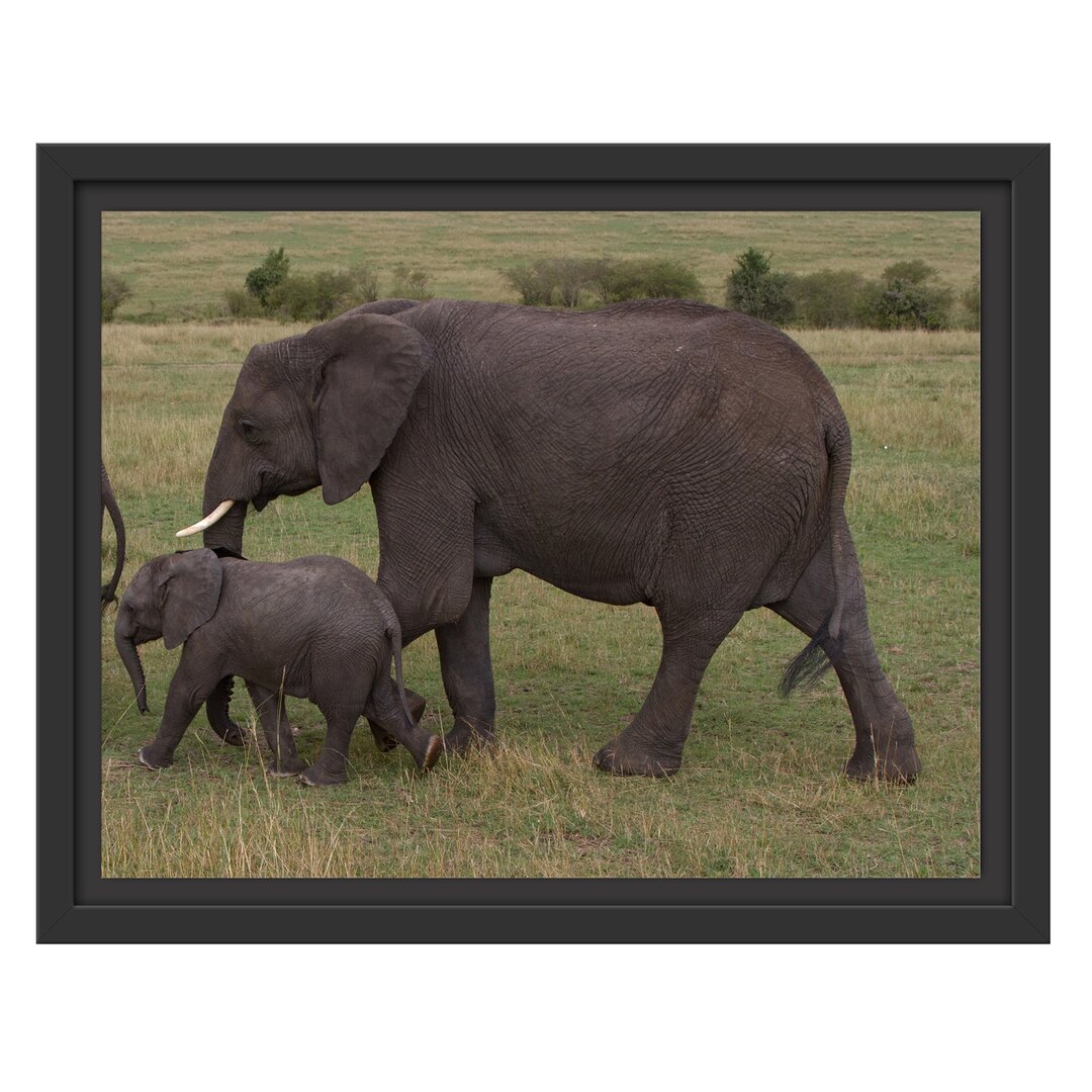 Gerahmtes Wandbild wandernde Elefantenfamilie