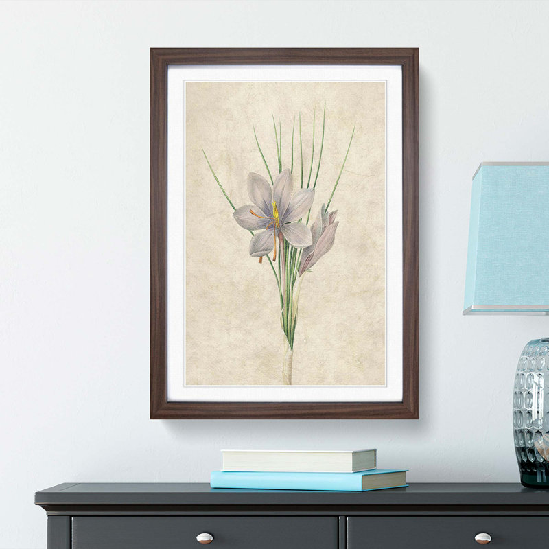 Autumn Crocus Flowers by Pierre-Joseph Redoute - Single Picture Frame Painting, 63cm H x 45cm W x 2cm D