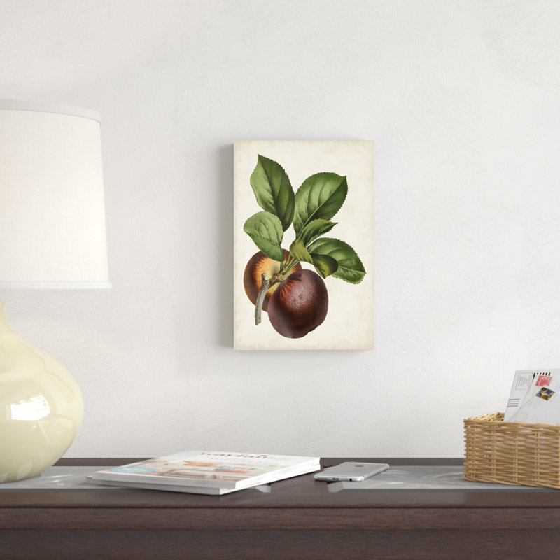 Antique Antique Fruit par Vision Studio - peinture sur toile tendue, H 12 po x l 8 po x P 1,25 po