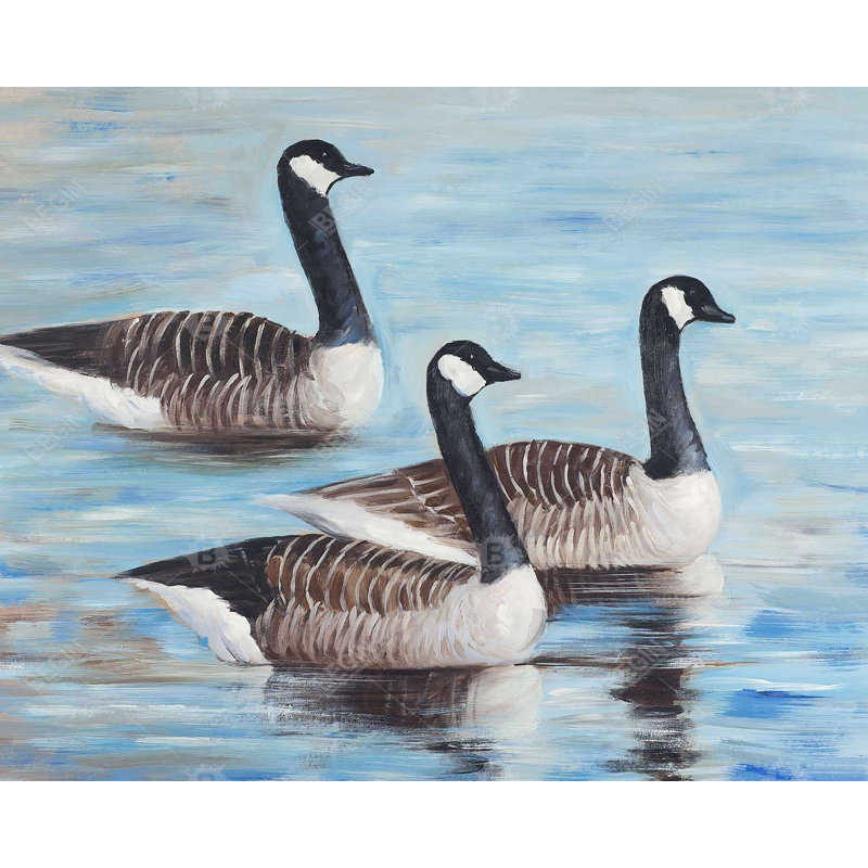 "Bernaches du Canada dans l'eau" sur toile