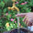 Magic Flowing Spout Watering Can Fountain Floating Tap Water Fountains DIY Garden Fountain With Metal Water Spout Pump And Hose