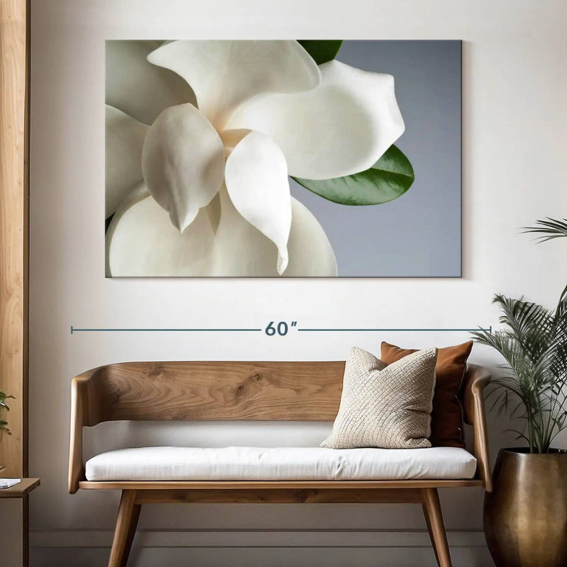 Magnolia blanc Harnek, H 34 po x l 51 po