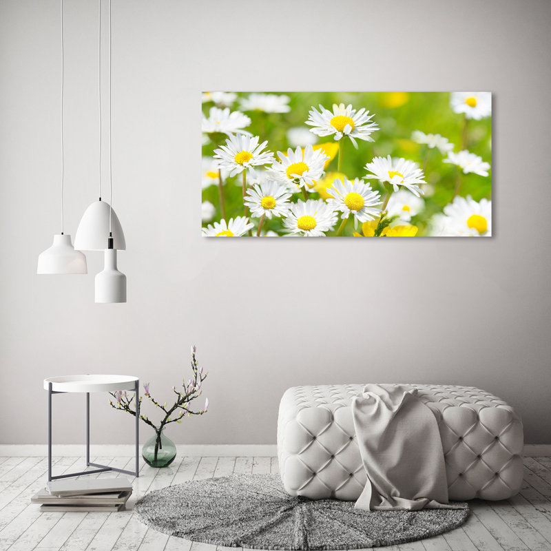 Daisies - Wrapped Canvas Print