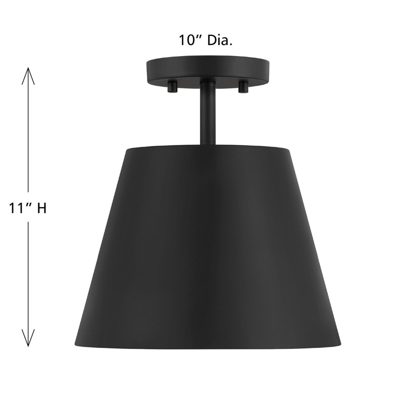 Oneeda 1-Light Ceiling Light in Matte Black, Matte Black
