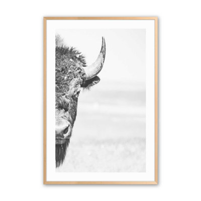Wild Stare Print