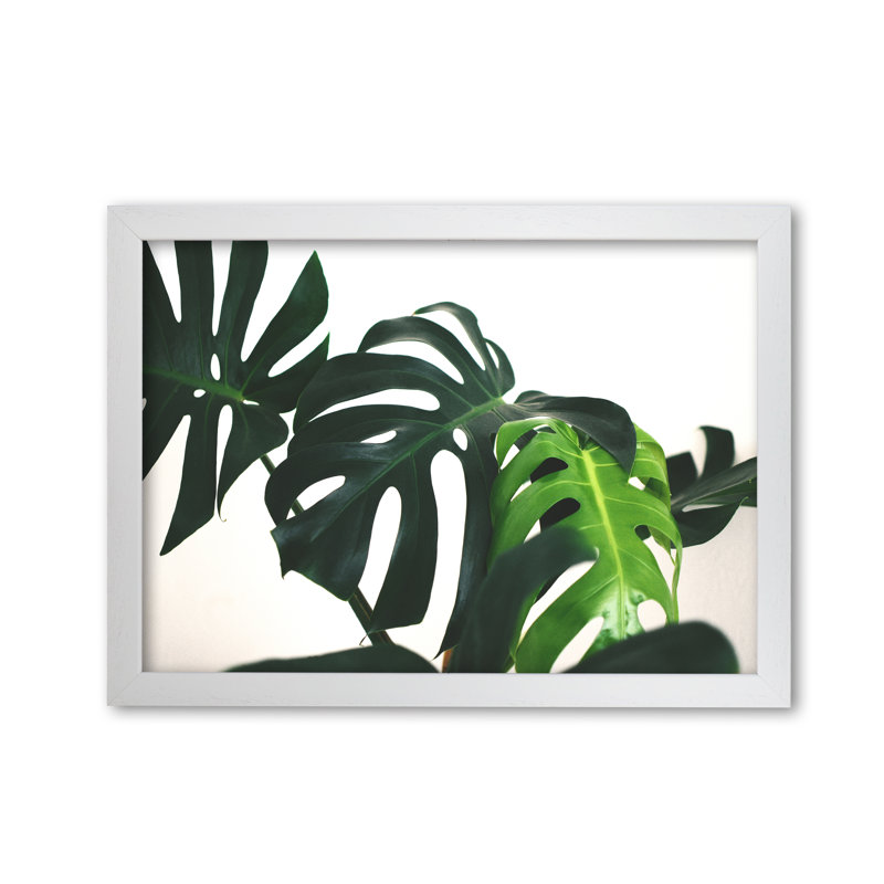 Monstera Leaf Landscape - Print, 30 cm H x 42 cm W x 5 cm D, White Grain Frame