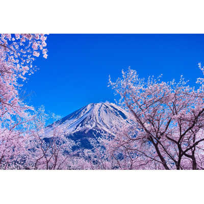 Ruthie Mt.Fuji and Cherry Tree 1 Piece Wrapped Canvas Wall Art