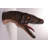 Velociraptor Dinosaur Head Life Size Statue